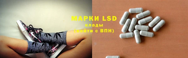 ПСИЛОЦИБИНОВЫЕ ГРИБЫ Осинники