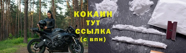 ПСИЛОЦИБИНОВЫЕ ГРИБЫ Осинники