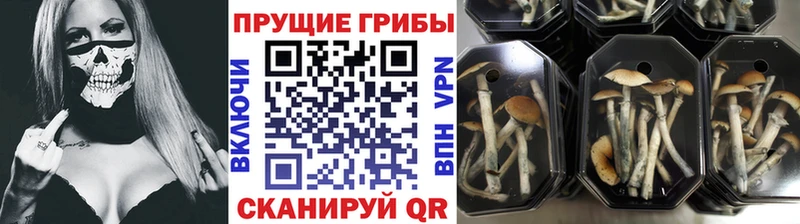 Псилоцибиновые грибы ЛСД Уяр